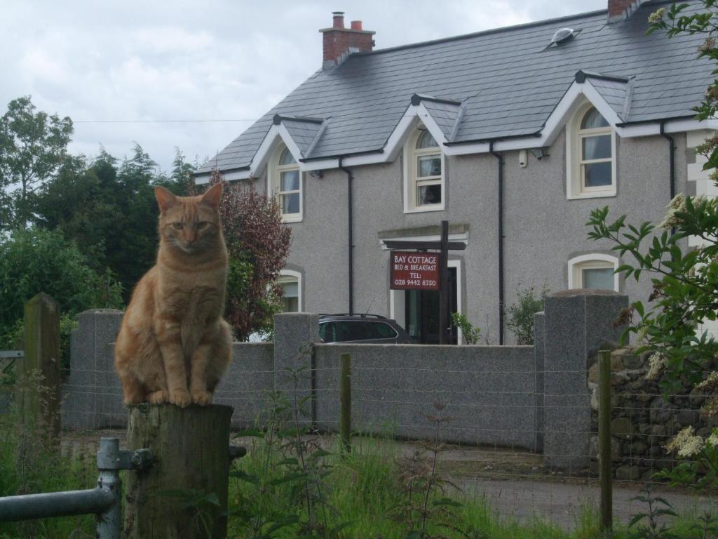 Bay Cottage Bed & Breakfast Crumlin  Buitenkant foto