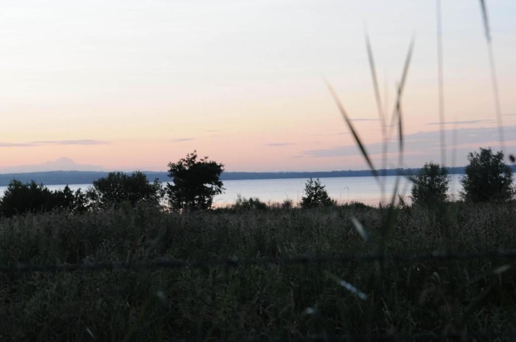 Bay Cottage Bed & Breakfast Crumlin  Buitenkant foto
